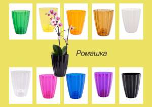 ������ ����� � ����� ����� �� ��������� - �������� �� 59% - ����������� 1