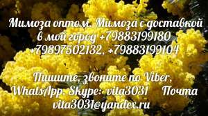 ������ ����� � ��������� - ����������� 1