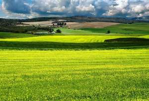 ������ ����� �/� - ����������� 1