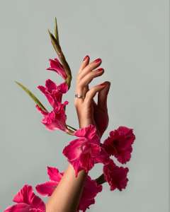 ������ ����� �� ������ - ����������� 1