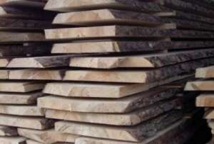 ������ �����, ��� - ����������� 1