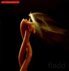 ������ ����� ��� ������� � ������ ���+79611371039 WhatsApp - ����������� 1