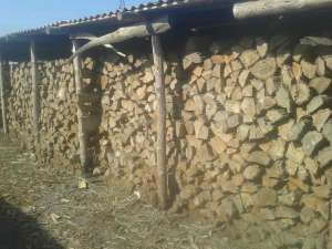 ������ ����� (����), �. �����. - ����������� 1