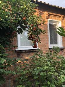 ������ ����� ����, ���� ����, ����. ��������� ����� - ����������� 1