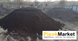 ������ ����� ����� ����� ��� ��������� ���������� ���������� �� ���� - ����������� 1