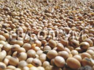 ������ ����� �����: ��������, ���, ����������, ����� - ����������� 1