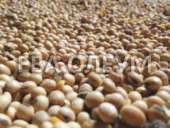 ������� � ����������: ������ ����� �����: ��������, ���, ����������, �����