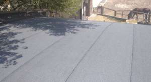 ������ ����� ����� ��������� ����� - ����������� 1