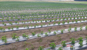 ������ ����� ������ - ����������� 1