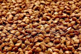 ������. ����� ������. ³� 5 ���� - ����������� 1