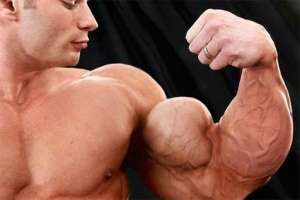 ������ ����� ������ � ������� - ����������� 1