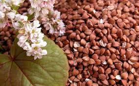 ������ (����� ������) �� ��������� - ����������� 1