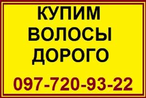 ������. ����� ������ ������. ������� ����� ���������. ������ �����. ���� �����. - ����������� 1