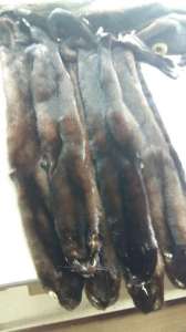 ������ ����� ������ ������ ������������� ������ ����� � 20% �������!!! - ����������� 1