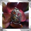 ������� � ����������: ������ ����� ������ �������