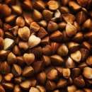 ������. ����� ������. �������.