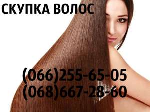 ������ ����� ������ ������� ������ � ������ ����� ������ ������ - ����������� 1