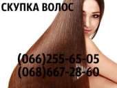 ������� � ����������: ������ ����� ������ ������� ������ � ������ ����� ������ ������