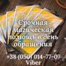 ������� � ����������: ������ ����� ������. �������. ������ �����������.