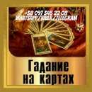 ������� � ����������: ������ �����. ������ �������. �������.