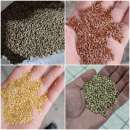 ������� � ����������: ������ �����, ������ ����������, ������, ������, ������.