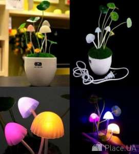 ������ ����� ������, ���������� ������ ������ ������ � �������. - ����������� 1