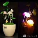 ������ ����� ������, ���������� ������ ������ ������ � �������. - ����������� 2