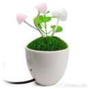 ������ ����� ������, ���������� ������ ������ ������ � �������. - ����������� 3