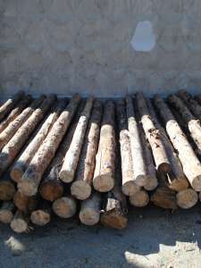 ������ ����� ������� ��� ������ - ����������� 1