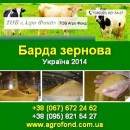 ������ ����� �������, ����. ������ 32-36 % ������.