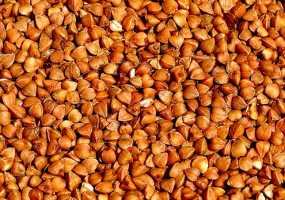 ������ �����. ������� ��������� - ����������� 1