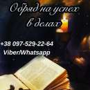 ������ �����. �������. ���������� ������ �� ��������� ����� ������������. - ����������� 2