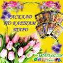 ������ �����. �������. ������������. - ����������� 3