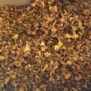 ������ ����� ������� �������,������������ - ����������� 3