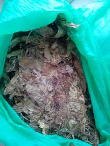 ������ ����� �������� - ����������� 1