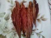 ������ ����� �������� - ����������� 2