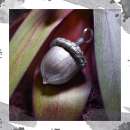 ������� � ����������: ������ ����� ��������