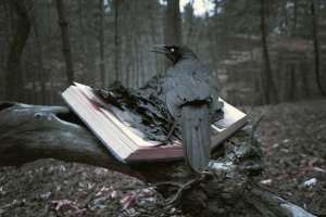 ������ ����� ��������!!! � �� ������... - ����������� 1