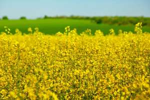 ������ ����� / �������� �Ҳ���� �� �������� / ���� ������ �������� - ����������� 1