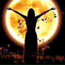 ������� � ����������: ������! ����� �������� ����� ���������