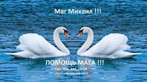 ������ �����. �������� ����������. �������. - ����������� 1