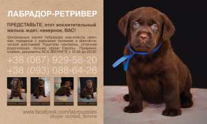 ������ ����� ��������� - ����������� 1