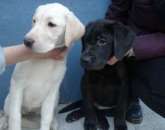 ������ ����� ���������