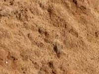 ������ ����� ���������, �����, ������ � ���������� ������ � ������� - ����������� 1