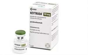 ������ ����� ���������� - ����������� 1