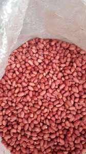 ������ �����, ����������. - ����������� 1