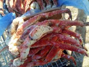 ������ ����� ����������� - ����������� 1