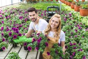 ������ ����� ������������ - ����������� 1