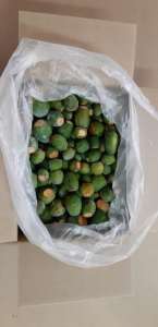 ������ ����� ������������ - ����������� 1