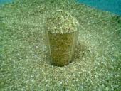 ������ ����� ������������ ����� ���������� ��������-������ 2017 - ����������� 2